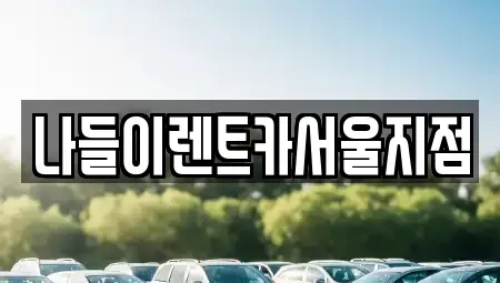서울 광진구 능동 렌트카 전문 나들이렌트카서울지점