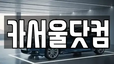 서울 광진구 능동 중고차매매 전문 카서울닷컴
