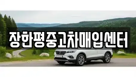 서울 광진구 능동 중고차매입 전문 장한평중고차매입센터