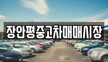 서울 동대문구 이문동 중고차매매 전문 장안평중고차매매시장
