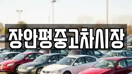 서울 동대문구 이문동 중고차매매,단기렌트카,중고차매입,장기렌트카,중고차,렌트카