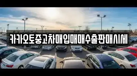 서울 동대문구 이문동 중고차매입 전문 카카오토중고차매입매매수출판매시세