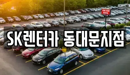 서울 성동구 금호동2가 렌트카 전문 SK렌터카 동대문지점