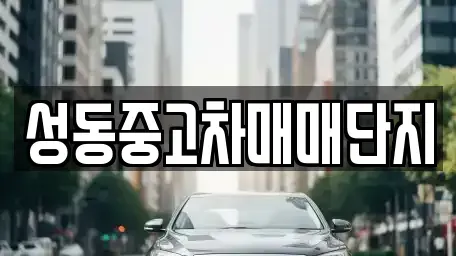 서울 성동구 금호동2가 중고차 전문 성동중고차매매단지