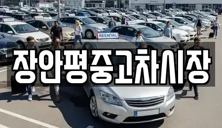 서울 성동구 금호동2가 중고차 전문 장안평중고차시장