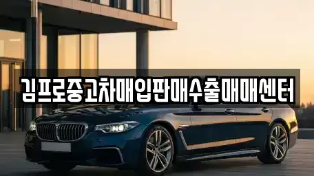 서울 성동구 금호동2가 중고차매입 전문 김프로중고차매입판매수출매매센터
