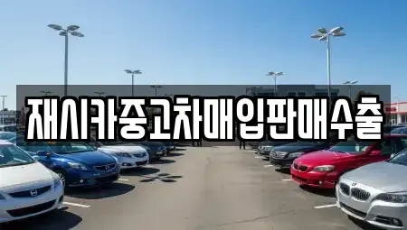 서울 성동구 금호동2가 중고차매입 전문 재시카중고차매입판매수출