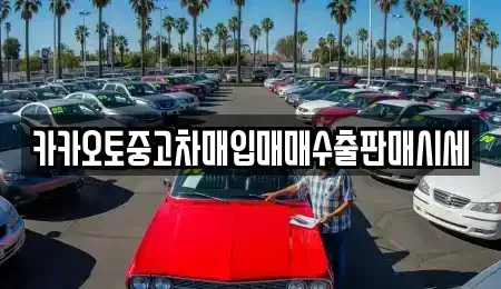 서울 성동구 금호동2가 중고차매입 전문 카카오토중고차매입매매수출판매시세
