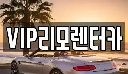 서울 성동구 금호동3가 단기렌트카 전문 VIP리모렌터카