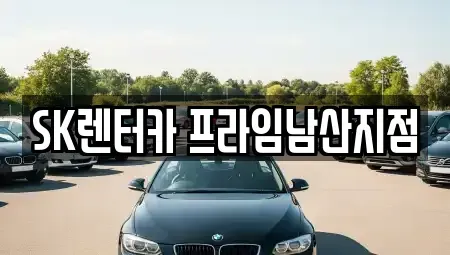 서울 성동구 금호동3가 렌트카 전문 SK렌터카 프라임남산지점