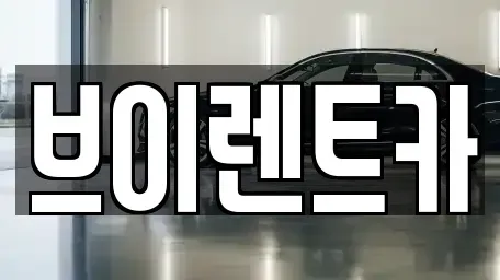 서울 성동구 금호동3가 렌트카 전문 브이렌트카