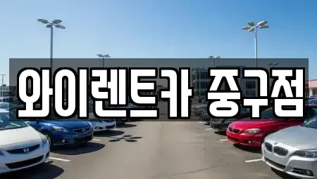 서울 성동구 금호동3가 렌트카 전문 와이렌트카 중구점