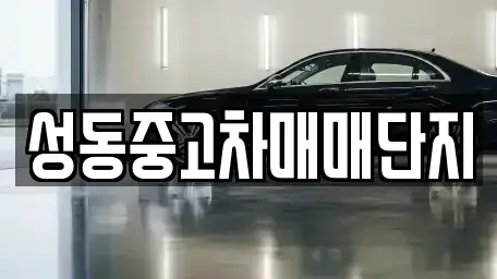 서울 성동구 금호동3가 중고차 전문 성동중고차매매단지