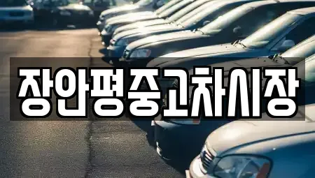 서울 성동구 금호동3가 중고차매매 전문 장안평중고차시장