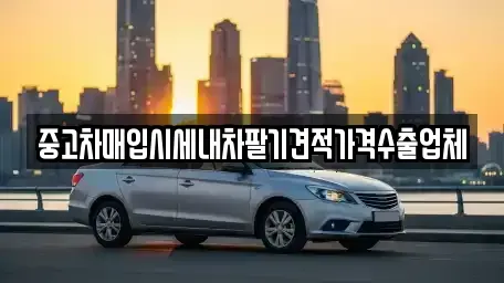 서울 성동구 금호동3가 중고차매입 전문 중고차매입시세내차팔기견적가격수출업체