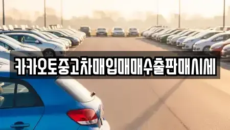 서울 성동구 금호동3가 중고차매입 전문 카카오토중고차매입매매수출판매시세