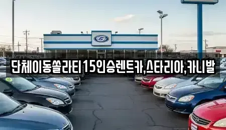 서울 성동구 하왕십리동 렌트카 전문 단체이동쏠라티15인승렌트카,스타리아,카니발