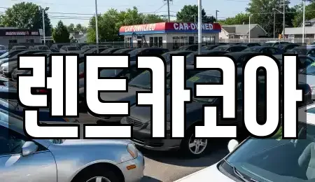 서울 성동구 하왕십리동 렌트카 전문 렌트카코아