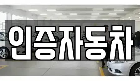 서울 성동구 하왕십리동 중고차매매 전문 인증자동차