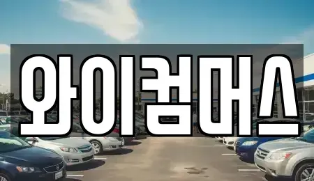 서울 성북구 동소문동1가 렌트카 전문 와이컴머스