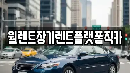 서울 성북구 동소문동1가 장기렌트카 전문 월렌트장기렌트플랫폼직카