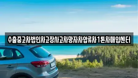 서울 성북구 동소문동1가 중고차매매 전문 수출중고차법인차고장사고차망자차압류차1톤차매입센터