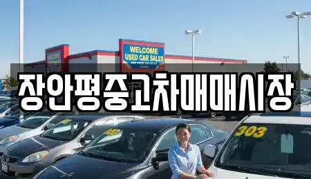 서울 성북구 동소문동1가 중고차매매 전문 장안평중고차매매시장