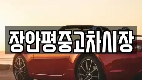 서울 성북구 동소문동1가 중고차매매 전문 장안평중고차시장