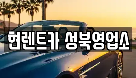 서울 성북구 삼선동1가 렌트카 전문 현렌트카 성북영업소