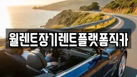 서울 성북구 삼선동1가 장기렌트카 전문 월렌트장기렌트플랫폼직카