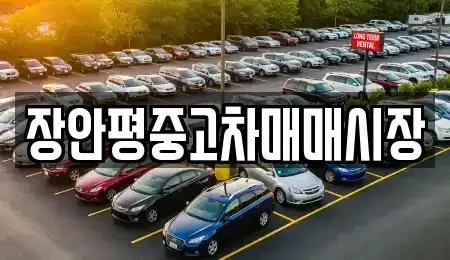 서울 성북구 삼선동1가 중고차매매 전문 장안평중고차매매시장