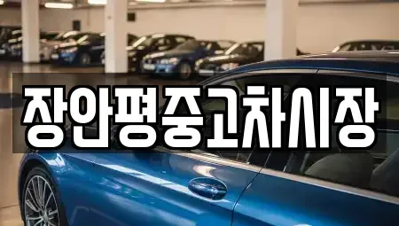 서울 성북구 삼선동1가 중고차매매 전문 장안평중고차시장