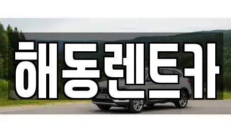서울 영등포구 도림동 렌트카 전문 해동렌트카