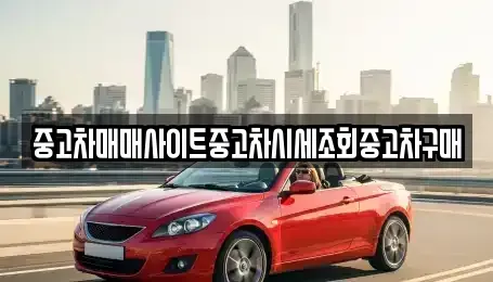 서울 영등포구 도림동 중고차 전문 중고차매매사이트중고차시세조회중고차구매