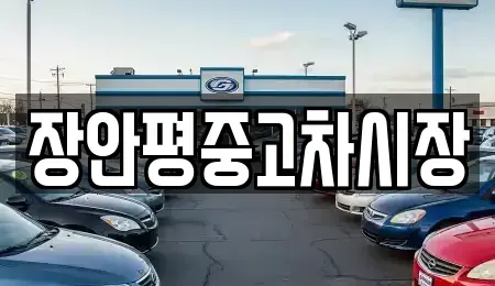 서울 영등포구 도림동 중고차매매 전문 장안평중고차시장