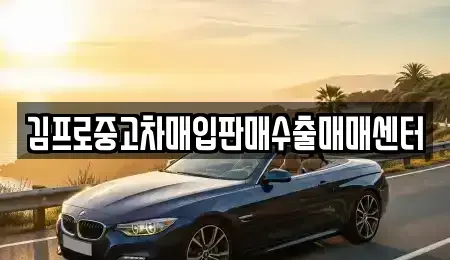 서울 영등포구 도림동 중고차매입 전문 김프로중고차매입판매수출매매센터