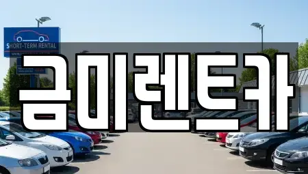 서울 영등포구 양평동2가 렌트카 전문 금미렌트카