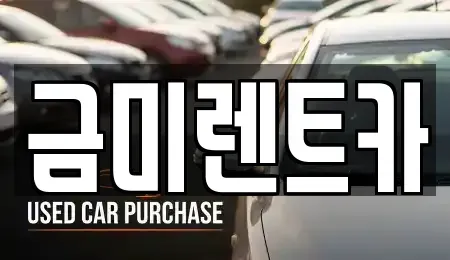 서울 종로구 도렴동 렌트카 전문 금미렌트카