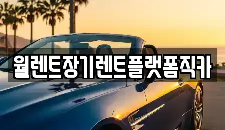 서울 종로구 도렴동 렌트카 전문 월렌트장기렌트플랫폼직카
