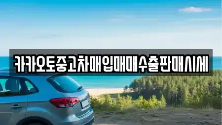 서울 종로구 도렴동 중고차 전문 카카오토중고차매입매매수출판매시세