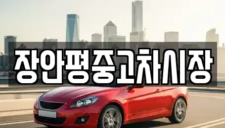 서울 종로구 도렴동 중고차매매 전문 장안평중고차시장