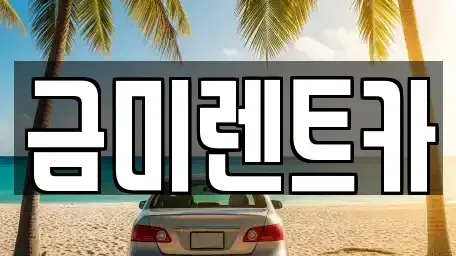 서울 종로구 행촌동 렌트카 전문 금미렌트카