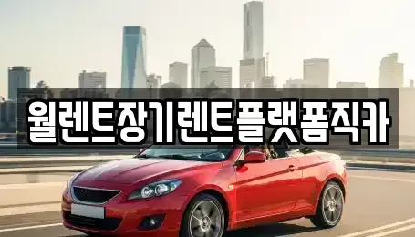 서울 종로구 행촌동 렌트카 전문 월렌트장기렌트플랫폼직카