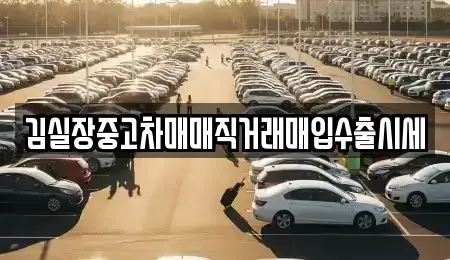 서울 종로구 행촌동 중고차 전문 김실장중고차매매직거래매입수출시세