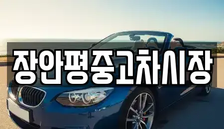 서울 종로구 행촌동 중고차 전문 장안평중고차시장