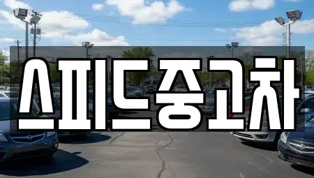 서울 종로구 행촌동 중고차매매 전문 스피드중고차