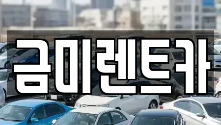 서울 종로구 혜화동 렌트카 전문 금미렌트카