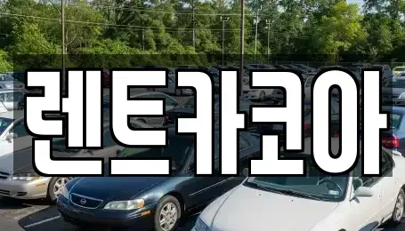서울 종로구 혜화동 렌트카 전문 렌트카코아