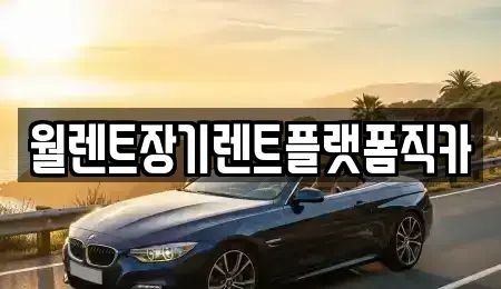 서울 종로구 혜화동 장기렌트카 전문 월렌트장기렌트플랫폼직카
