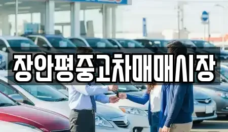 서울 종로구 혜화동 중고차 전문 장안평중고차매매시장
